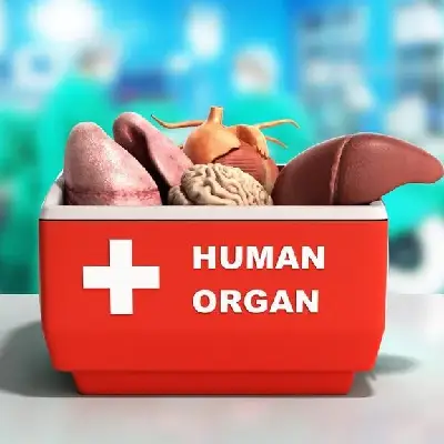 organ
