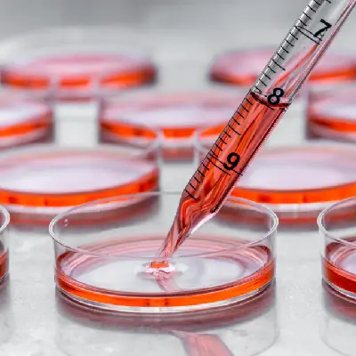 stemccell